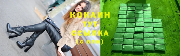 соль ск Алексин