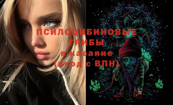 соль ск Алексин