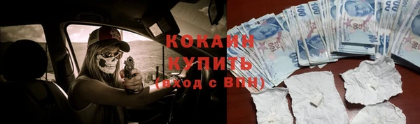соль ск Алексин